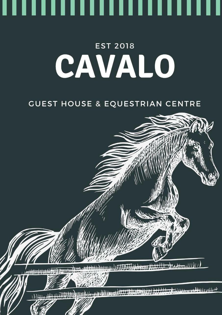 Cavalo Guesthouse & Equestrian Estate Drummond Екстериор снимка