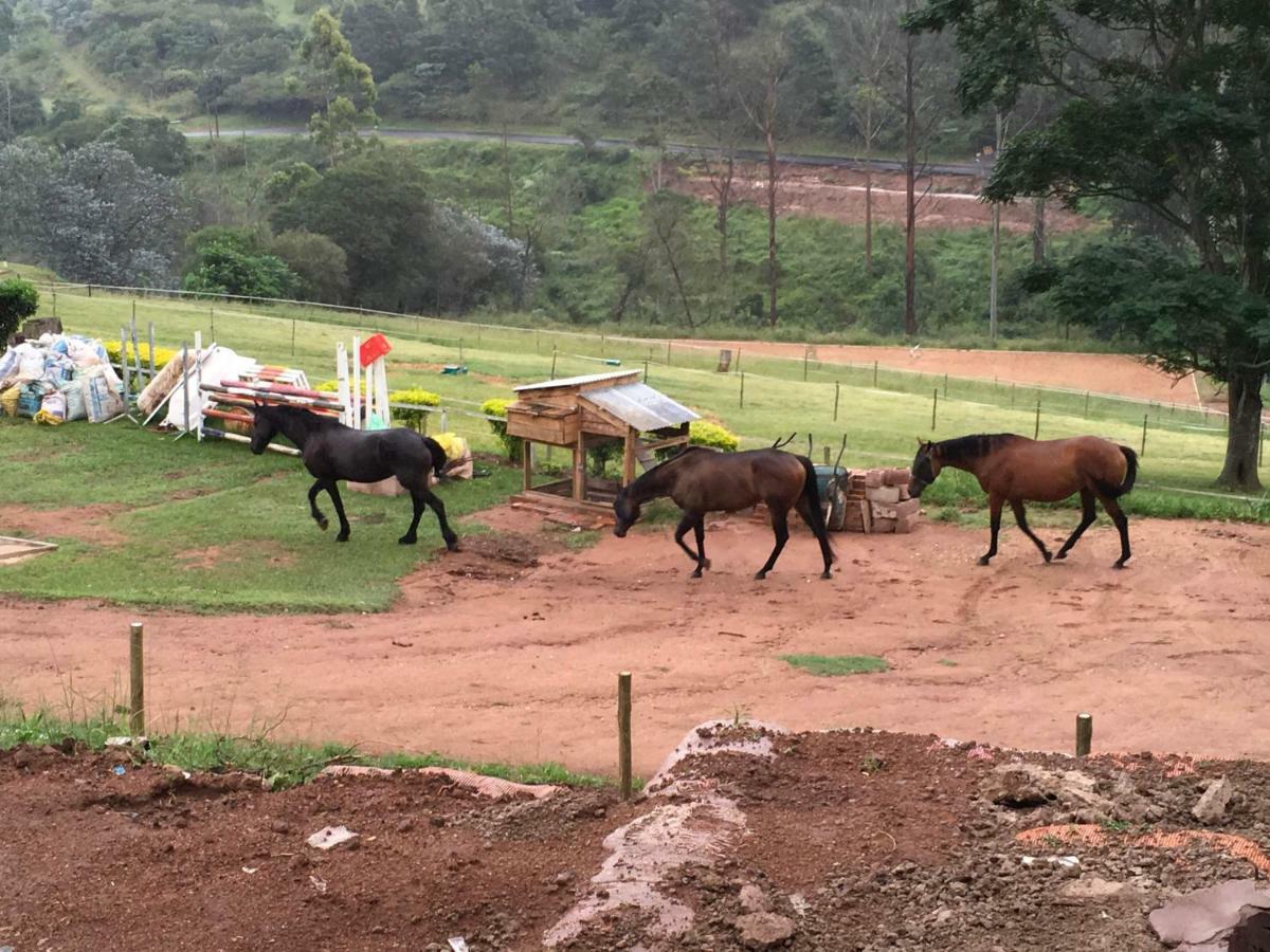 Cavalo Guesthouse & Equestrian Estate Drummond Екстериор снимка